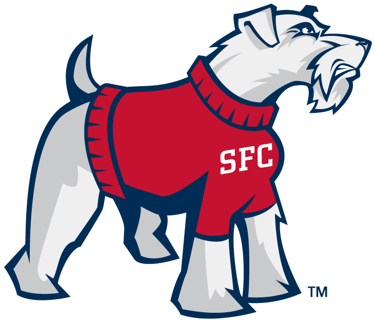 St. Francis Terriers 2001-2013 Alternate Logo v2 DIY iron on transfer (heat transfer)